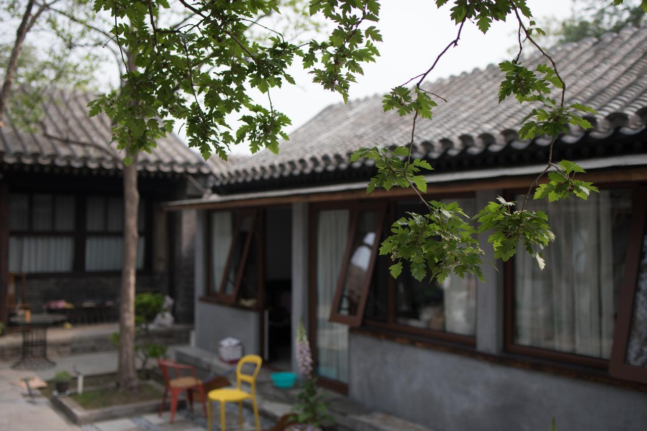 Courtyard Guesthouse, Bắc Kinh Ngoại thất bức ảnh