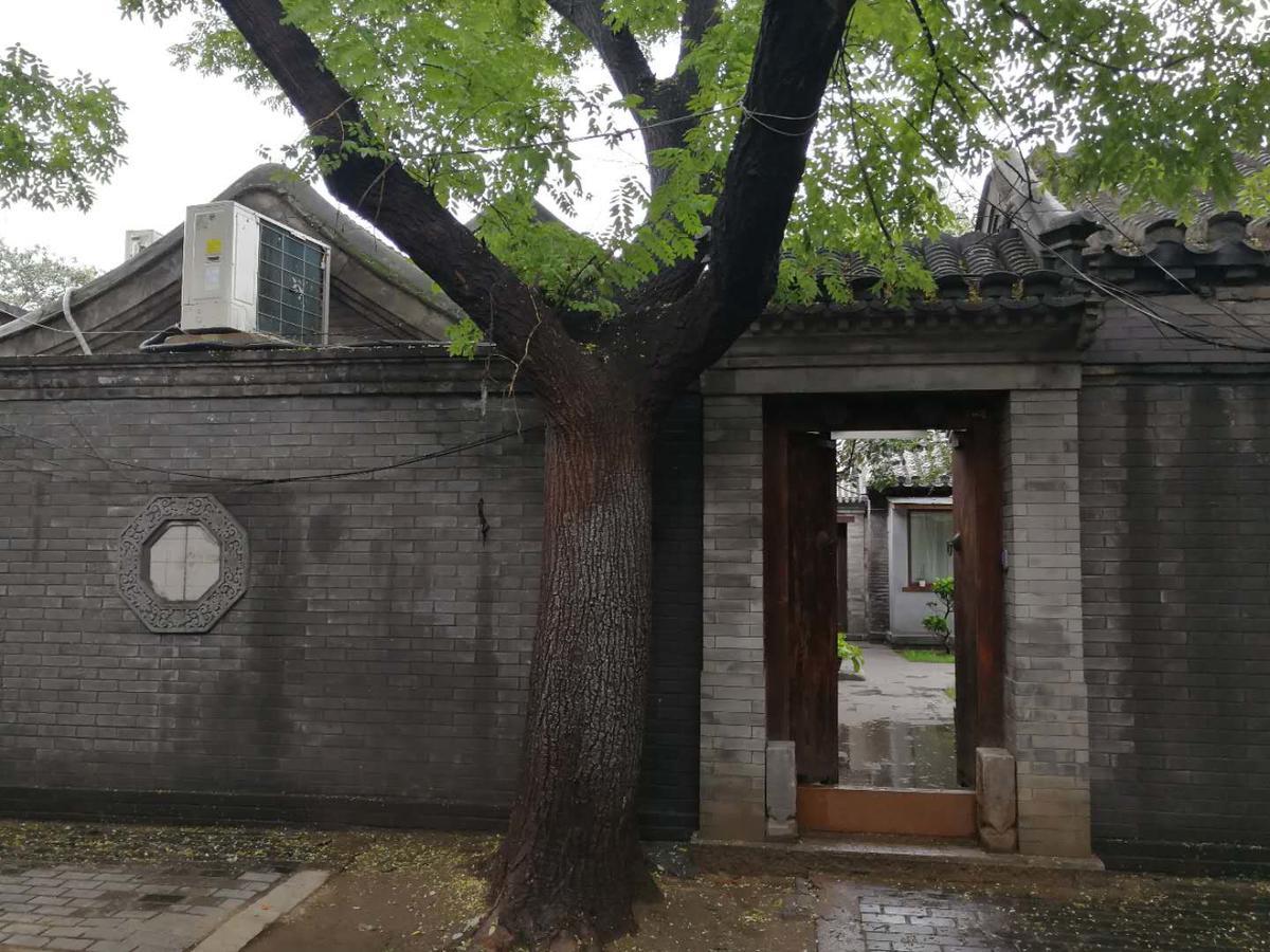 Courtyard Guesthouse, Bắc Kinh Ngoại thất bức ảnh