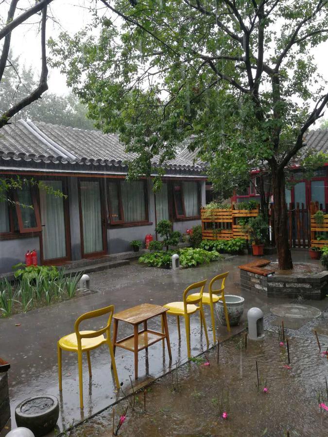 Courtyard Guesthouse, Bắc Kinh Ngoại thất bức ảnh
